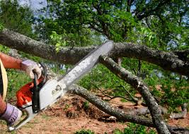 Seasonal Cleanup (Spring/Fall) in Totowa, NJ